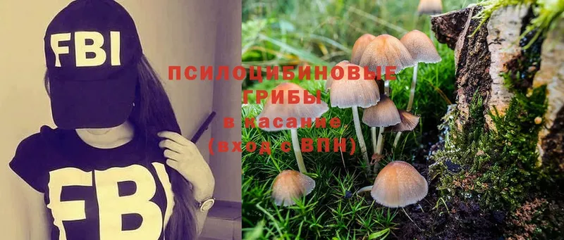 Псилоцибиновые грибы Cubensis  Новый Уренгой 